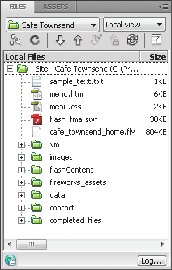 Files Panel overview, Dreamweaver CS4
